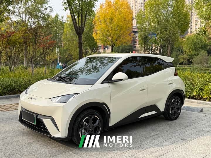 BYD Seagull 305km Vitality Edition - ავტომობილი ჩინეთიდან