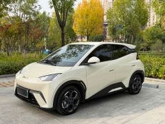 BYD Seagull 305km Vitality Edition - ფოტო 1