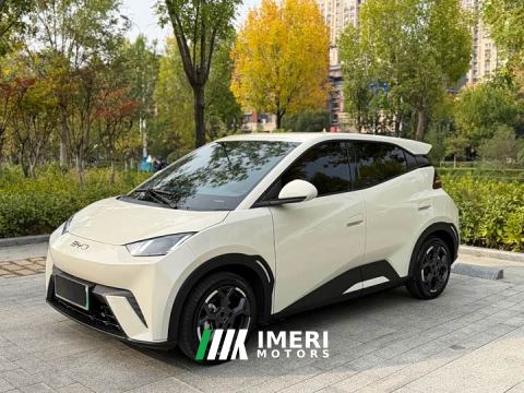 2025 BYD Seagull 305km Vitality Edition - ავტომობილი ჩინეთიდან