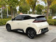 BYD Seagull 305km Vitality Edition - ფოტო 18
