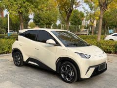 BYD Seagull 305km Vitality Edition - ფოტო 3
