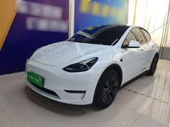 Tesla Model Y Long Range All-Wheel Drive - ფოტო 1