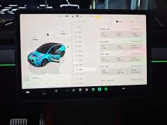 Tesla Model Y Long Range All-Wheel Drive - ფოტო 12