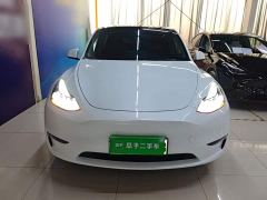 Tesla Model Y Long Range All-Wheel Drive - ფოტო 2