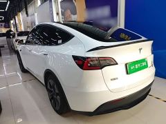 Tesla Model Y Long Range All-Wheel Drive - ფოტო 4