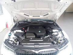 BMW 3 Series 320Li M Sport Package - ფოტო 19