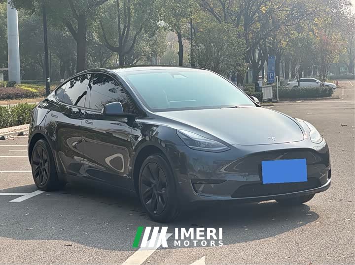Tesla Model Y Rear-Wheel Drive