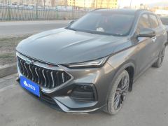 Oshan Oushang X5 1.5T Flagship Version - ფოტო 1