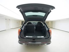 FAW Red Flag E-HS9 690km Range Flagship Edition Six-Seater - ფოტო 6