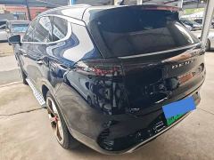 Denza X PHEV Premier Edition - ფოტო 13