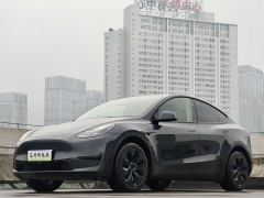 Tesla Model Y Rear-Wheel Drive - photo 1