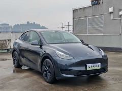 Tesla Model Y Rear-Wheel Drive - photo 3