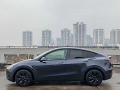 Tesla Model Y Rear-Wheel Drive - photo 4