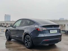 Tesla Model Y Rear-Wheel Drive - photo 5