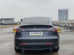Tesla Model Y Rear-Wheel Drive - photo 6