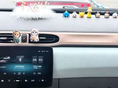 Leapmotor T03 310 Comfort Edition - ფოტო 16