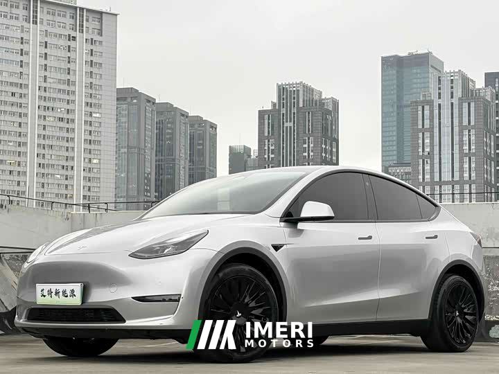 Tesla Model Y Long Range All-Wheel Drive - car from China