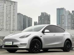 Tesla Model Y Long Range All-Wheel Drive - photo 1