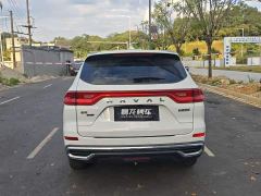 Haval M6 PLUS 1.5T DCT Elite Smart Connected Edition - ფოტო 8