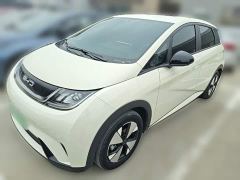 BYD Dolphin 420km Freedom Edition - ფოტო 1