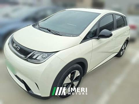 2023 BYD Dolphin 420km Freedom Edition - car from China