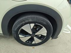 BYD Dolphin 420km Freedom Edition - ფოტო 11