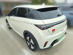BYD Dolphin 420km Freedom Edition - ფოტო 6