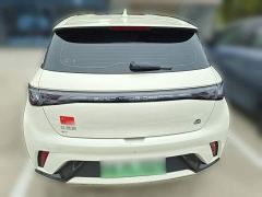 BYD Dolphin 420km Freedom Edition - ფოტო 7