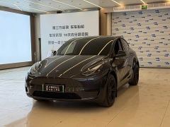 Tesla Model Y Rear-Wheel Drive - фото 1