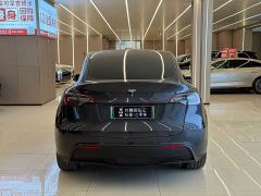 Tesla Model Y Rear-Wheel Drive - фото 5
