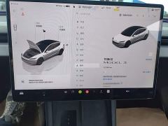 Tesla Model 3 Rear-Wheel Drive - ფოტო 11