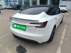 Tesla Model 3 Rear-Wheel Drive - ფოტო 6