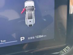 Fangchengbao Leopard 8 Zhiyong Flagship Edition 7-Seater - фото 3