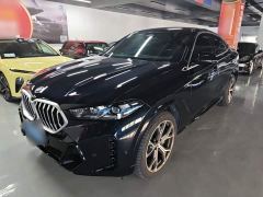 BMW X6 xDrive40i M Sport Package - ფოტო 1