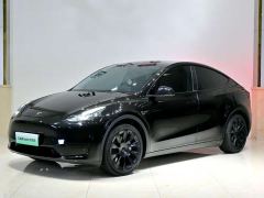 Tesla Model Y Rear-Wheel Drive - ფოტო 1