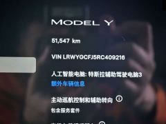 Tesla Model Y Rear-Wheel Drive - ფოტო 17