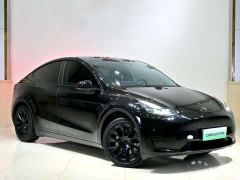 Tesla Model Y Rear-Wheel Drive - ფოტო 3