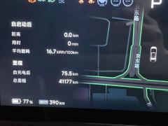 XPeng X9 640 AWD High Performance Max - photo 9