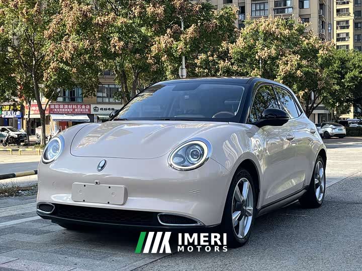 ORA Good Cat 400km Standard Range Deluxe Ternary Lithium - автомобиль из Китая