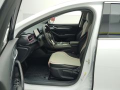 BYD Destroyer 05 DM-i Champion Edition 1.5L 55km Luxury Edition - photo 14