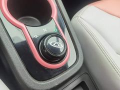 Chery Ant Facelift Sweet Pink Half-Sugar Ternary Lithium 30.6kWh 30kW 301km - photo 13