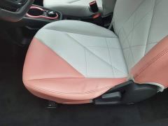 Chery Ant Facelift Sweet Pink Half-Sugar Ternary Lithium 30.6kWh 30kW 301km - photo 20