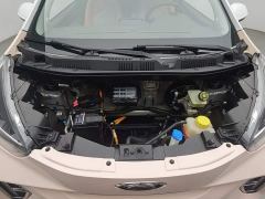 Chery Ant Facelift Sweet Pink Half-Sugar Ternary Lithium 30.6kWh 30kW 301km - photo 6