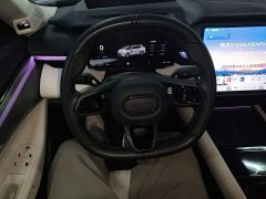 Lynk & Co 08 EM-P 210 AWD Performance Ultra H7 - ფოტო 10