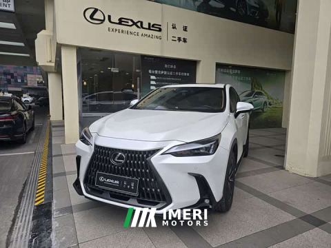 2024 Lexus NX 260 Edition - автомобиль из Китая