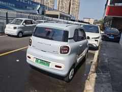 FAW Besturn Xiaoma 222km Colorful Edition - photo 9
