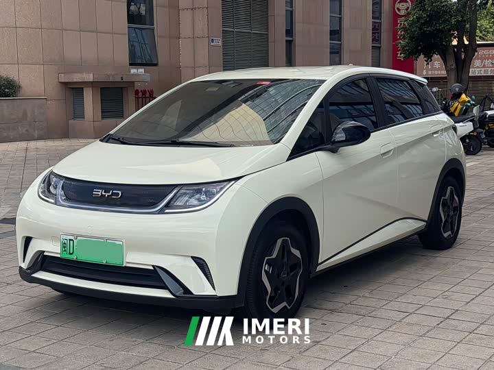 BYD Dolphin 420km Vitality Edition - ავტომობილი ჩინეთიდან