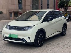 BYD Dolphin 420km Vitality Edition - ფოტო 1