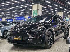 Tesla Model Y Rear-Wheel Drive - photo 1