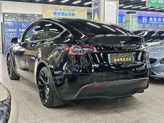 Tesla Model Y Rear-Wheel Drive - photo 6